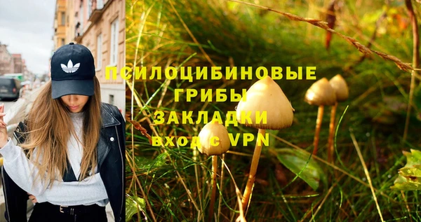 PSILOCYBIN Алексин