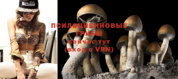 ECSTASY Алексеевка